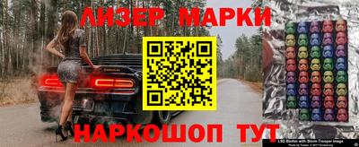 прущие грибы Кандалакша