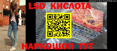 прущие грибы Кандалакша