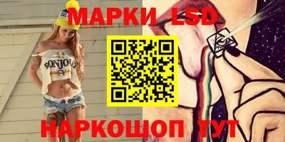 амф Камышлов