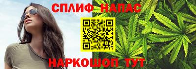 амф Камышлов