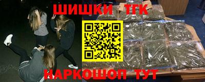 прущие грибы Кандалакша
