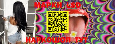 прущие грибы Кандалакша