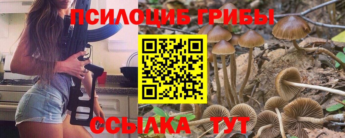 Псилоцибиновые грибы мицелий Луховицы